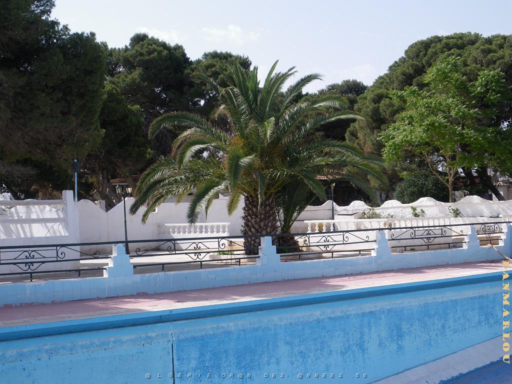 CANASTEL 2009 MAI LA PISCINE.JPG